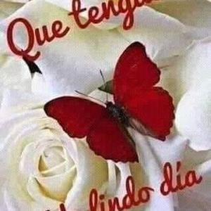 Meet your Posher, Lemus